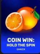 Coin Win — Gamzix
